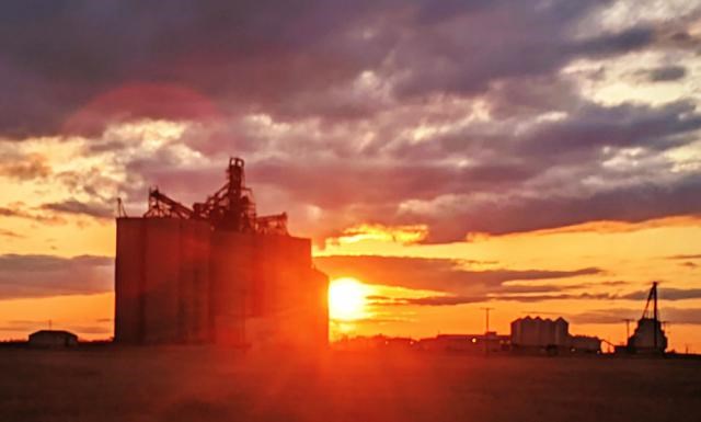 Viterra sunset