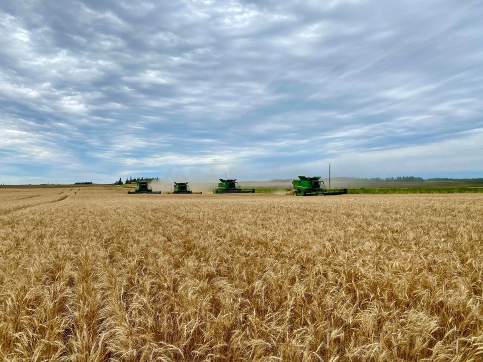Harvest