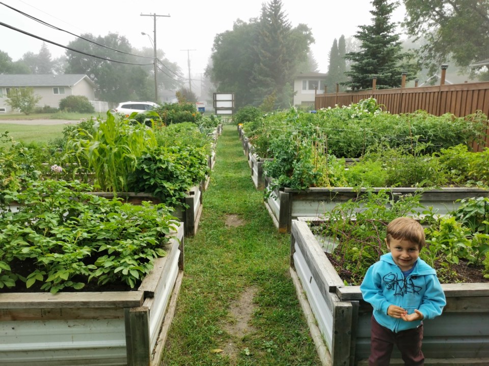 community garden