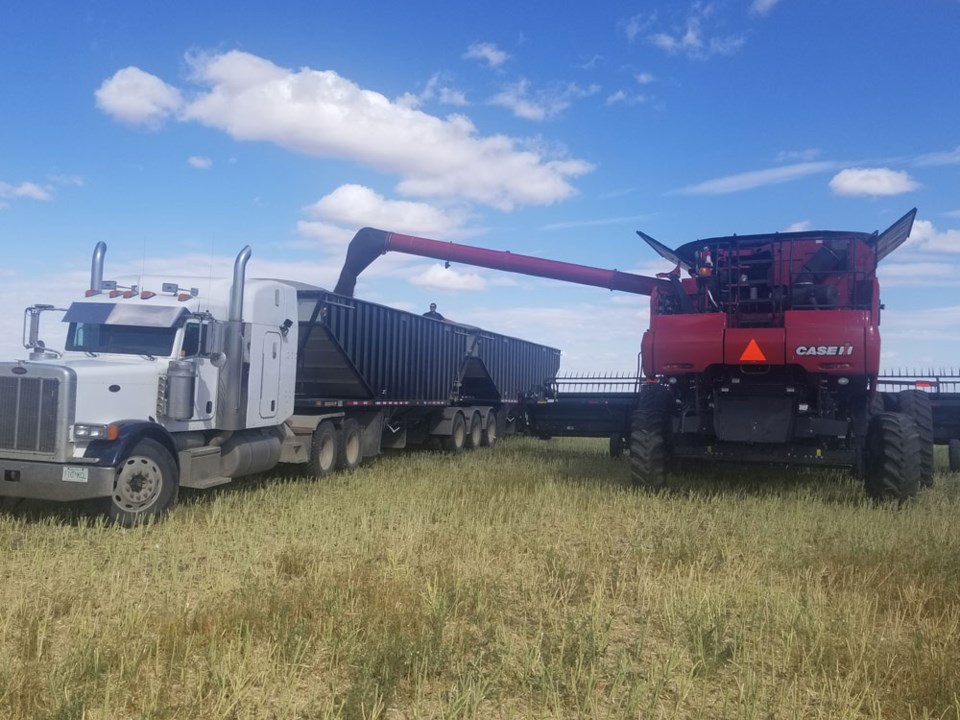 Harvest pic