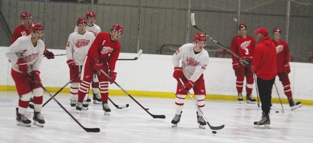 RedWings skills training