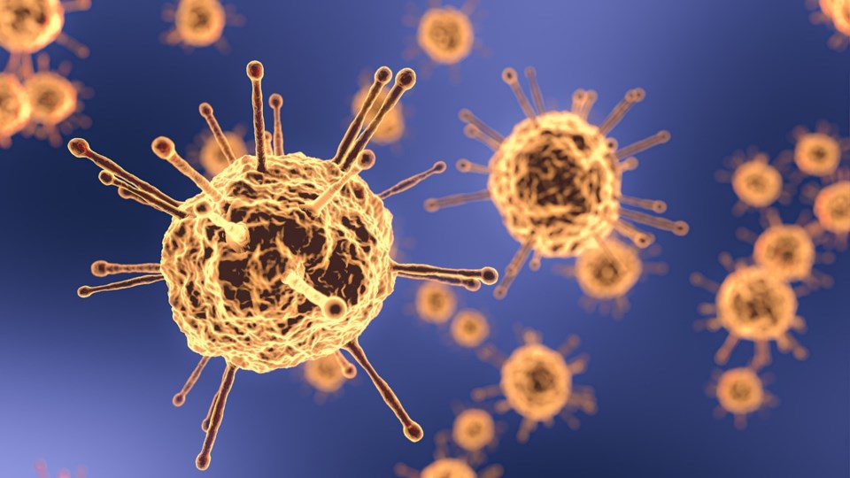 coronavirus-4942077_1280