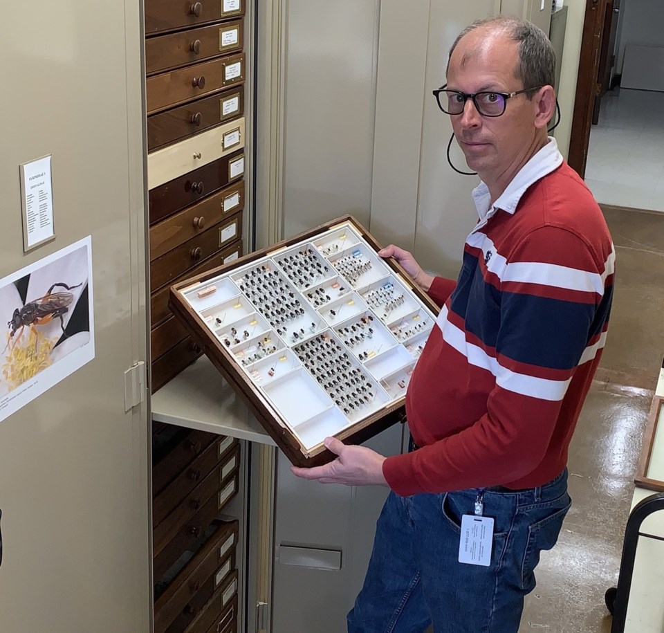 Bug collection