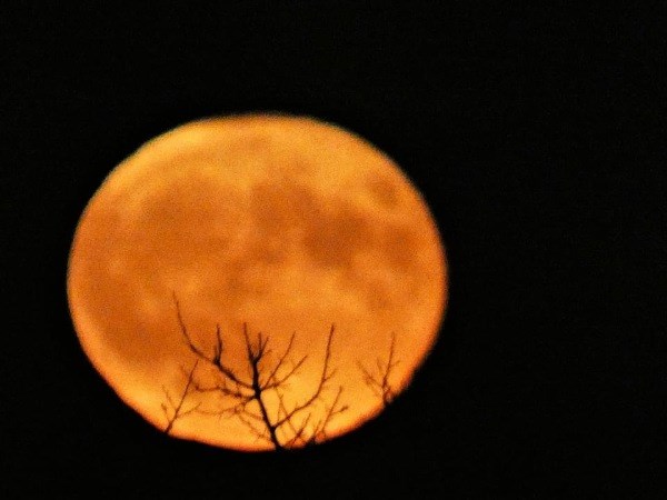 The harvest moon the night of Halloween, taken between the clouds that evening.