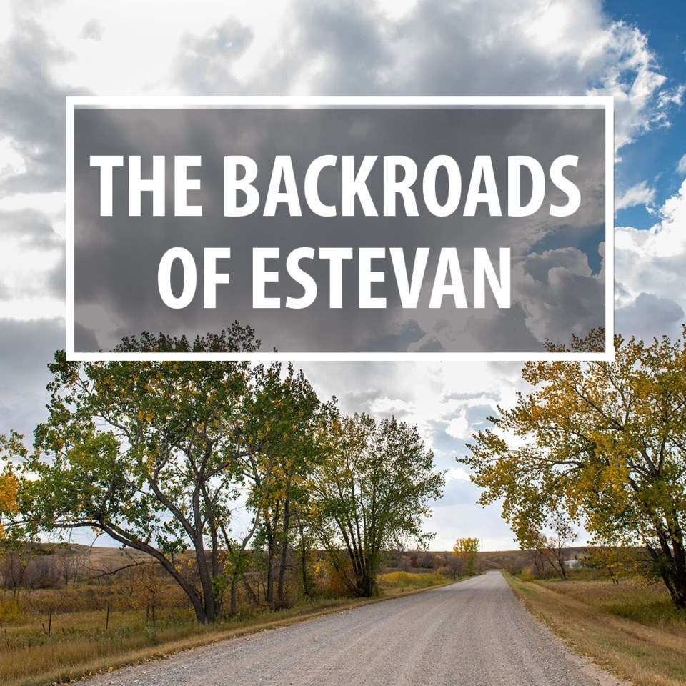 Tourism Estevan logo