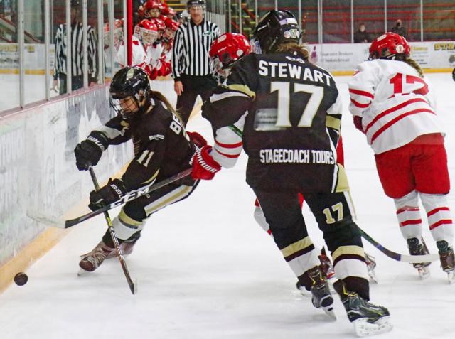 Weyburn Gold Wings tangle with Notre Dame_1