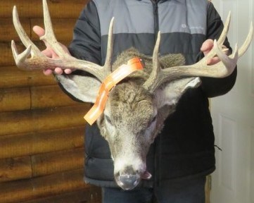 head