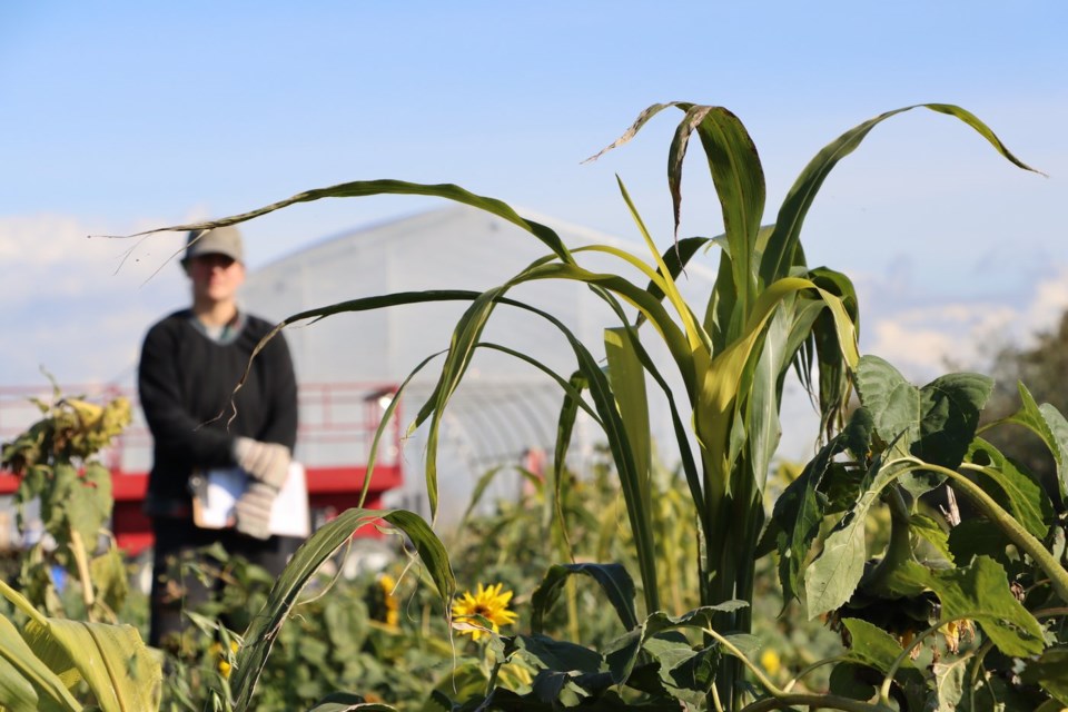 one per cent farmers