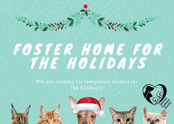 Estevan Humane Society