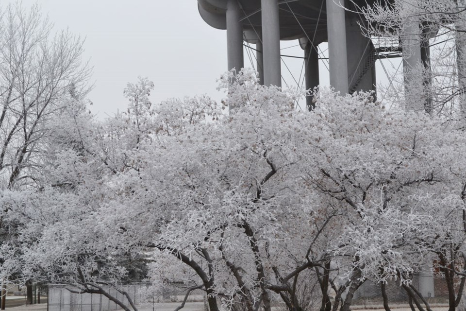 Hoarfrost
