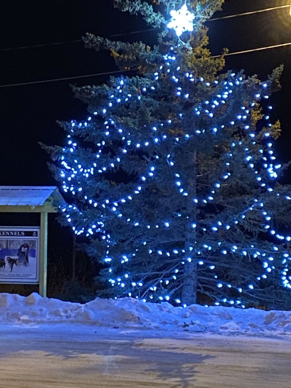 Memorial Tree