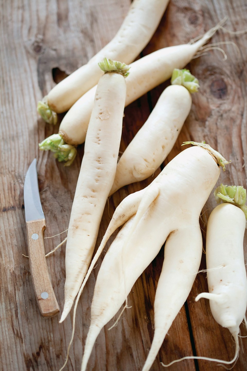 daikon benefits