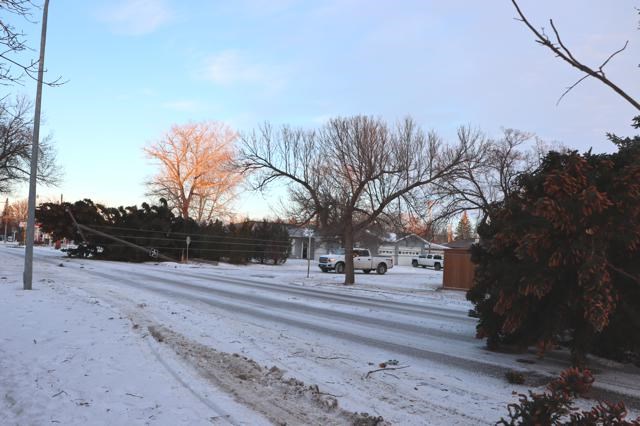 downed power lines