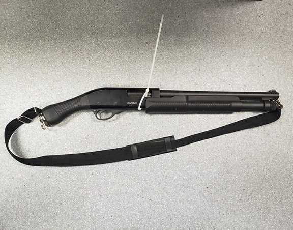 meadow lake multiple incidents firearm-seized