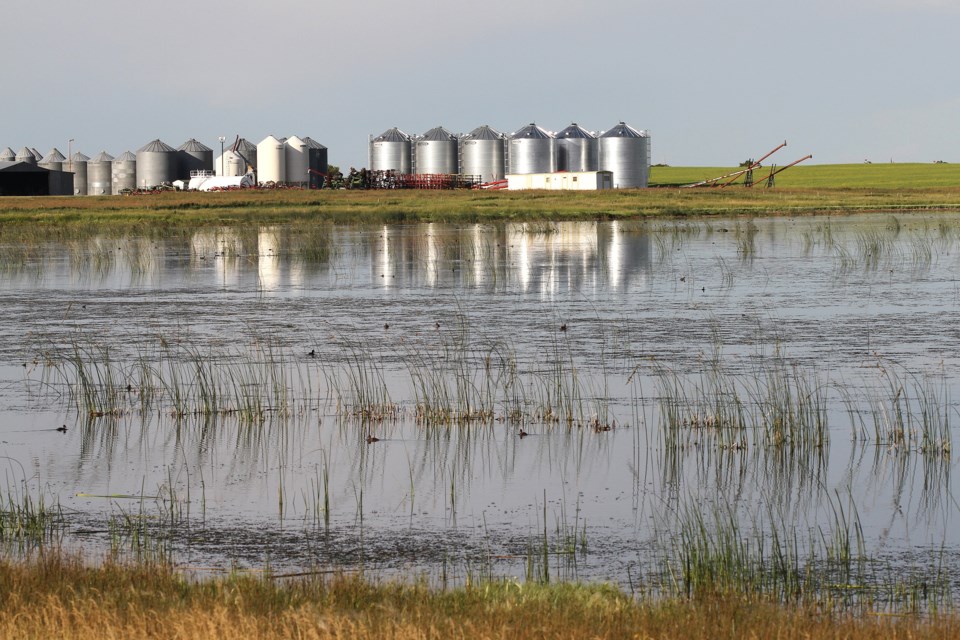 wetlands