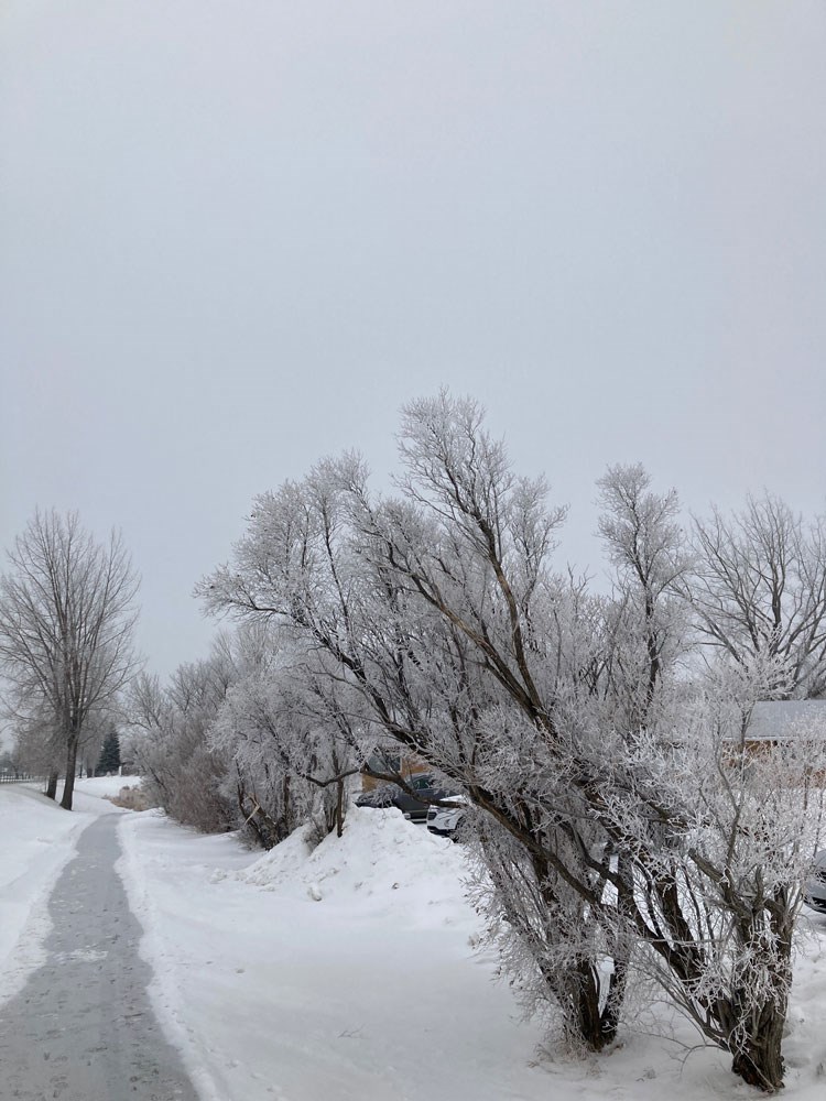 Hoarfrost