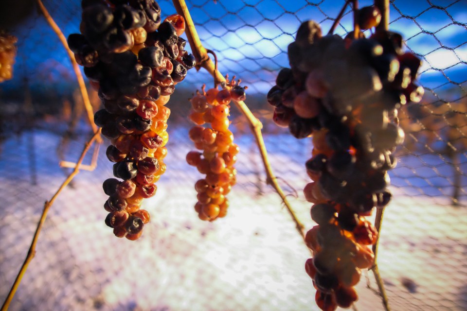 grapes