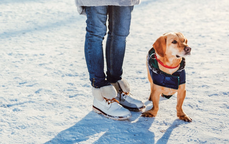 winter clothes