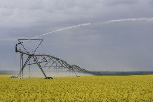 Engineering team picked for Lake Diefenbaker irrigation project_1