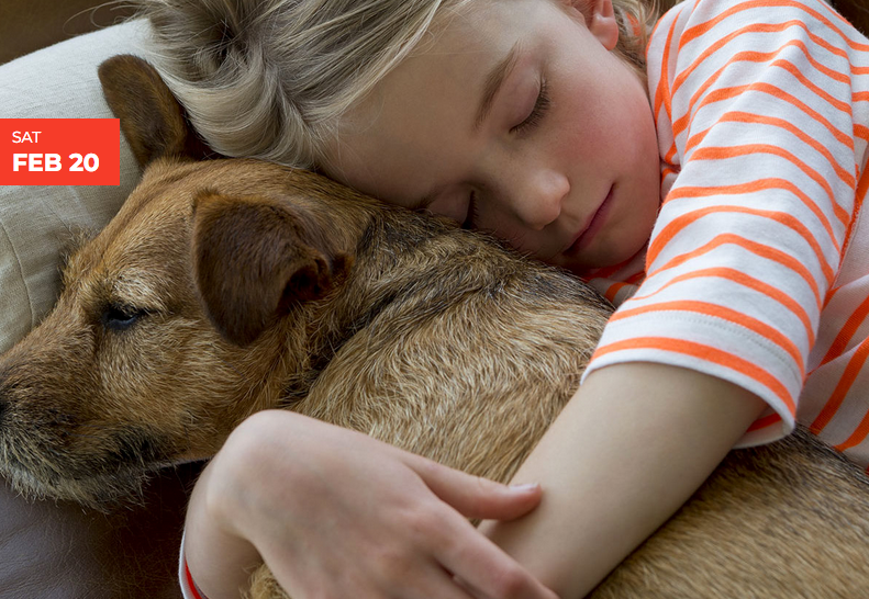 Love Your Pet Day