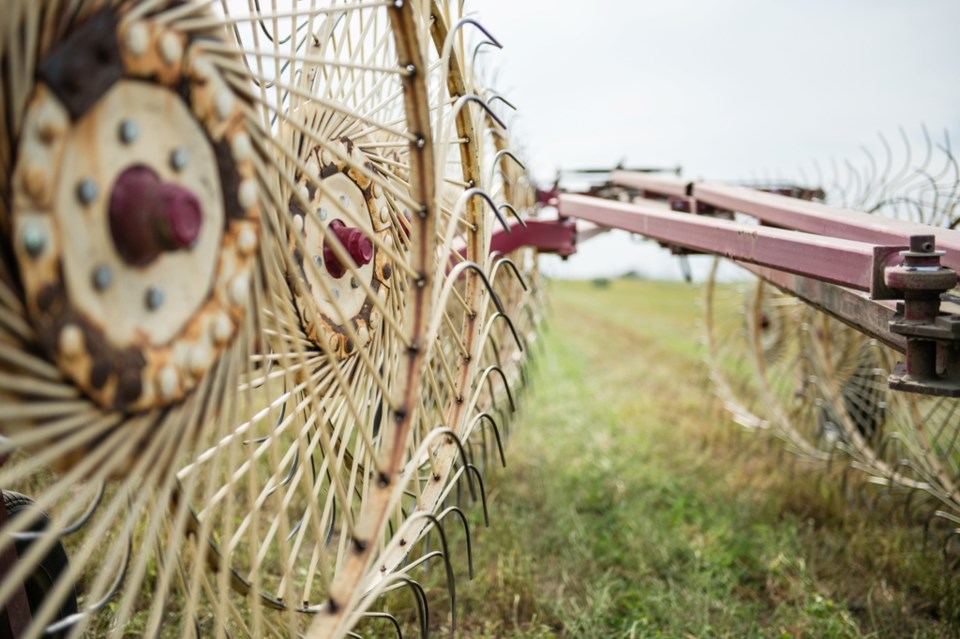 There are some updates to forage programs within Crop Insurance. Photo by Brian Zinchuk, Local Journ