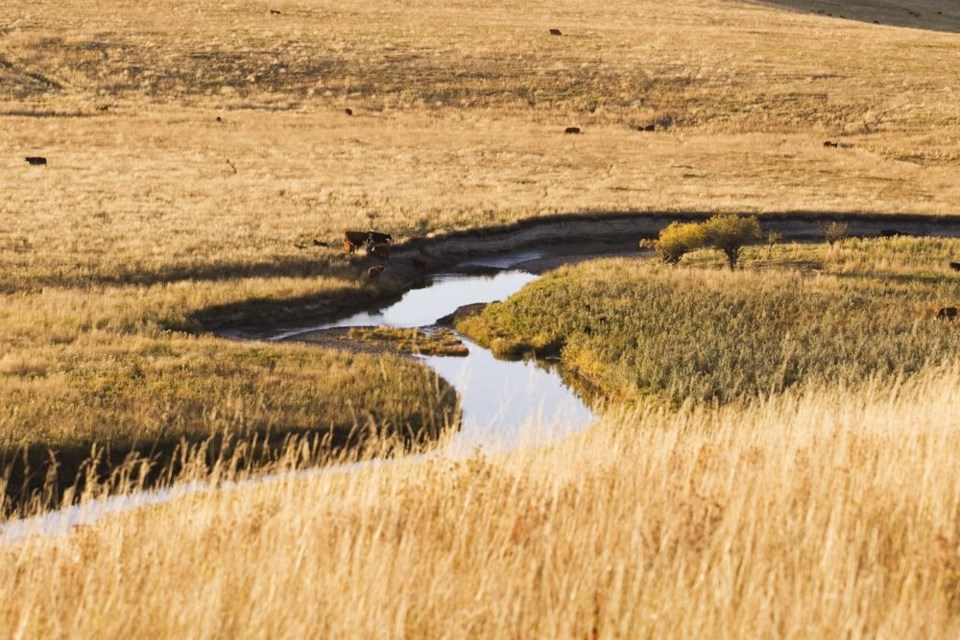 spring runoff