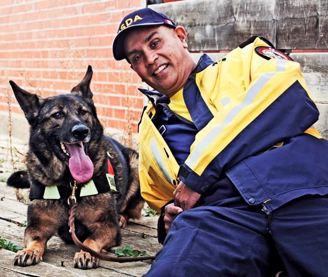 search and rescue dog