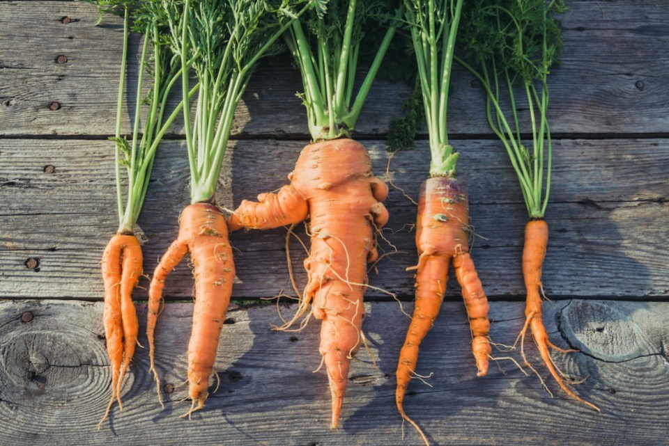 ugly-carrots