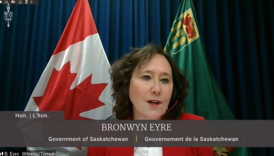 Saskatchewan Energy and Resources Minister Bronwyn Eyre spoke to the House of Commons Special Commit