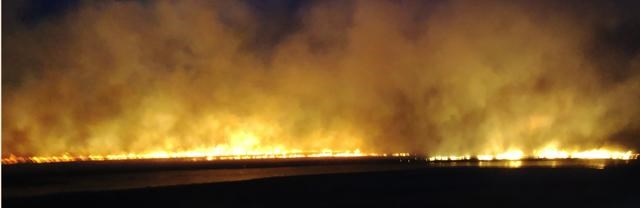 grass fire