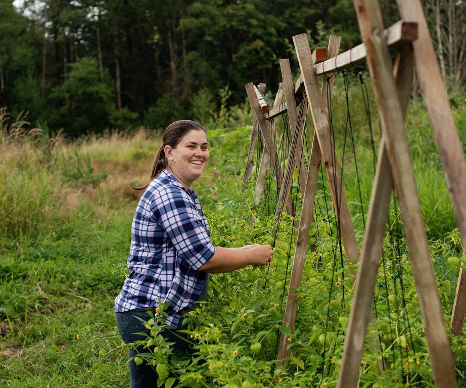 Kristen Penhall harvesting tomatillos at her Langley farm. Photo courtesy Jete of Urban Fig Photogra