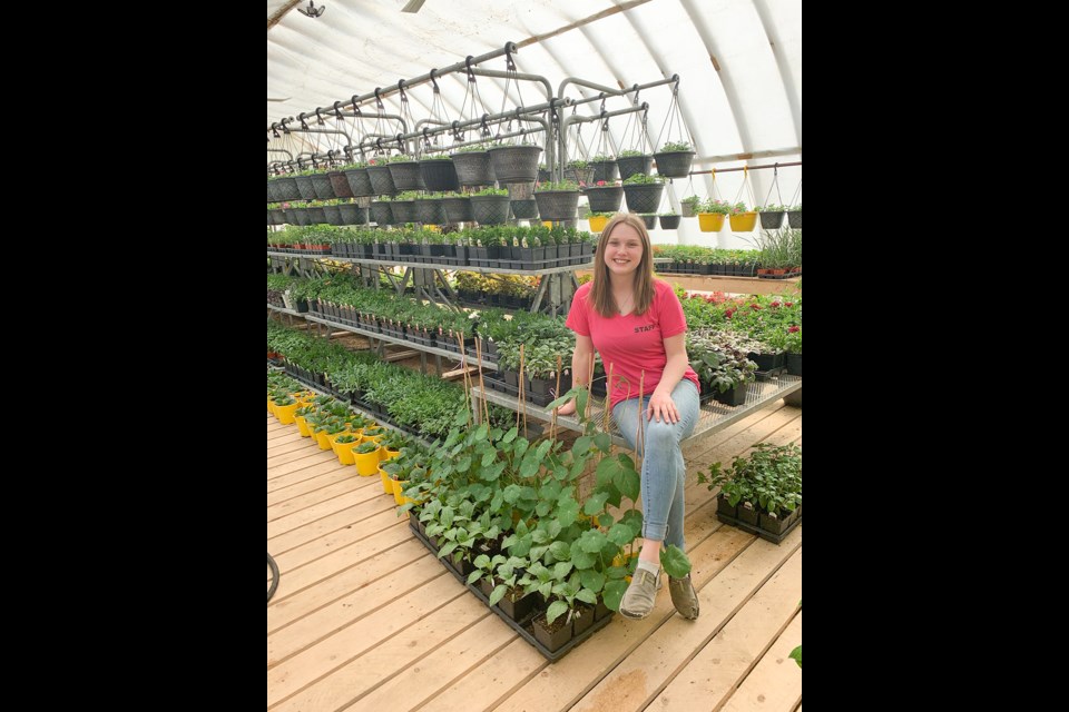 Carievale Greenhouse