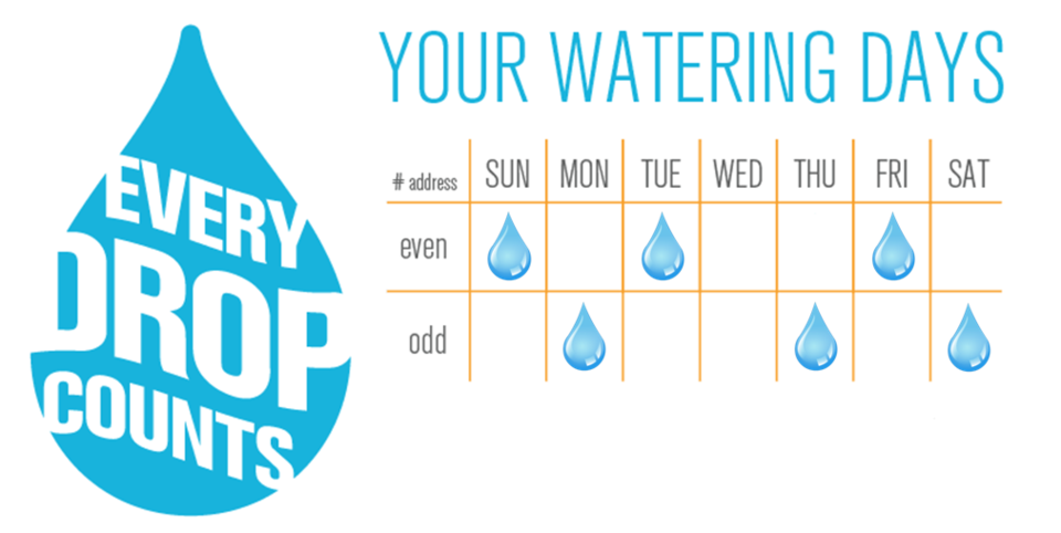 Every Drop Counts