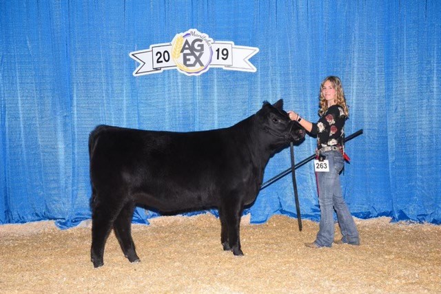 4-H Pic