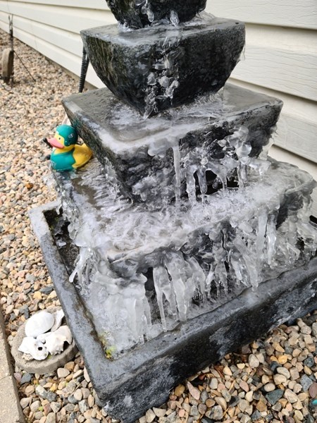 Even though we are back to more seasonal temperatures, these frozen scenes in Unity were still remarkable achievements for mid-May. The fountain looks like a scene from the movie Frozen while a perfect circle of ice solved the mystery of this homeowner who thought she saw robins walking on water in her bird bath. Photos by Sherri Solomko