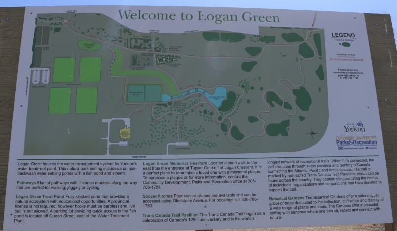 logan green