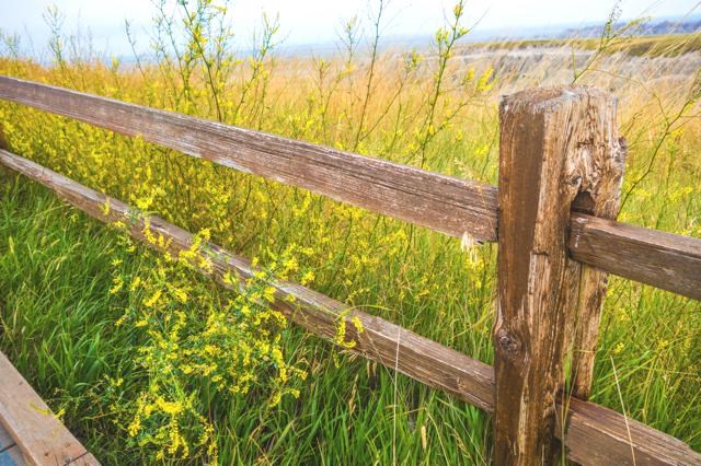 saskatchewan prairies