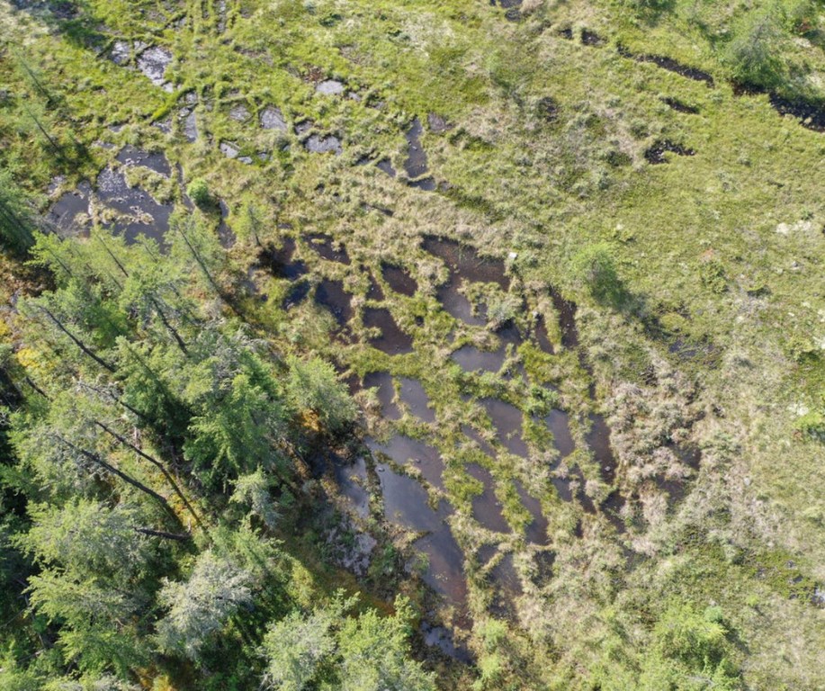 An aerial shot of the Alvar Site in the Saskatchewan River Delta. Photo by Michael Rudy and provided