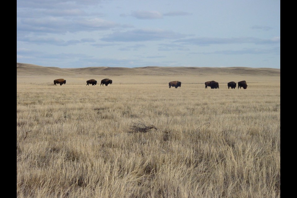 2020 has passed, along with Canada’s deadline to strive to protect at least 17 per cent of land and 10 per cent of ocean. A new CPAWS report outlines the successes and failures. Photo by 1brettsnyder