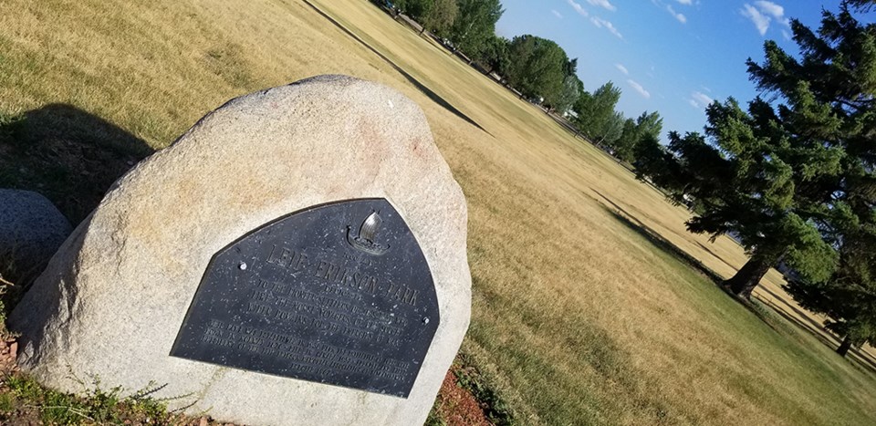 Dutch Elm Disease saskatoon