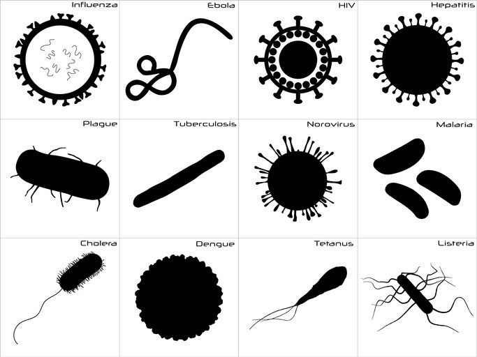 bacteria getty