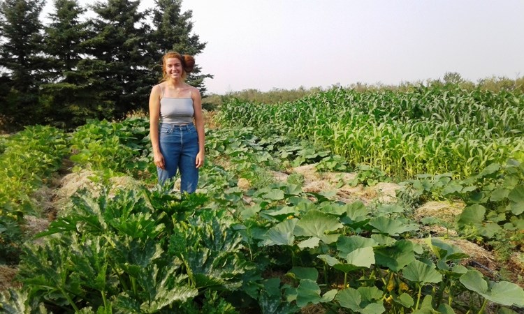 University student Rachel Sutherland in the market garden she is growing at her parents’ farm northeast of Borden. Photo submitted by Lorraine Olinyk