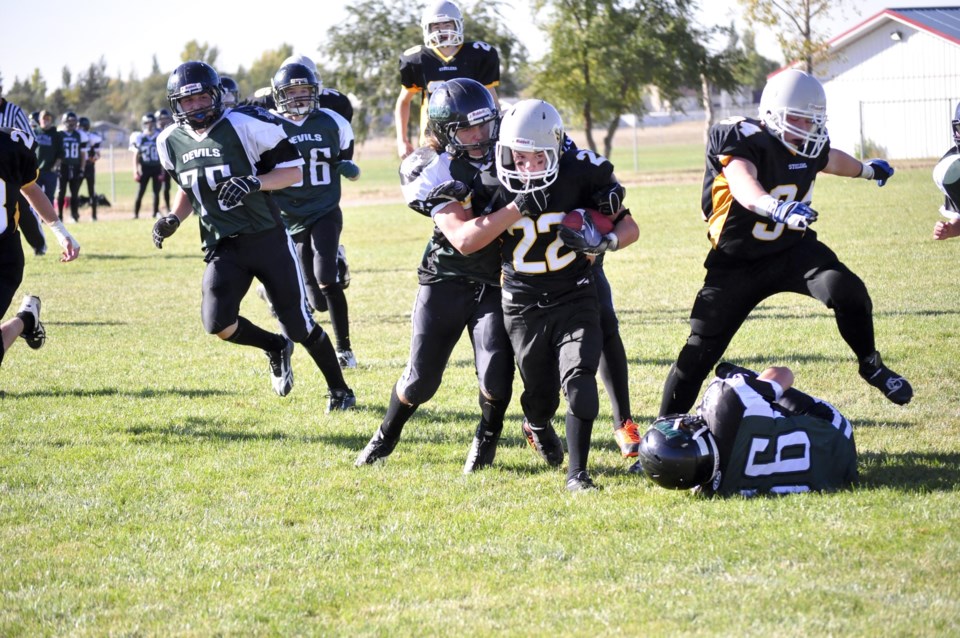 GN201310130619863AR.jpg