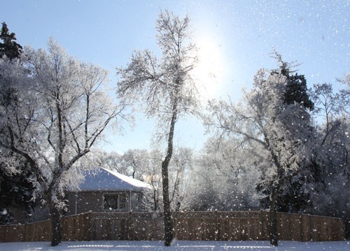 GN201210121229988AR.jpg