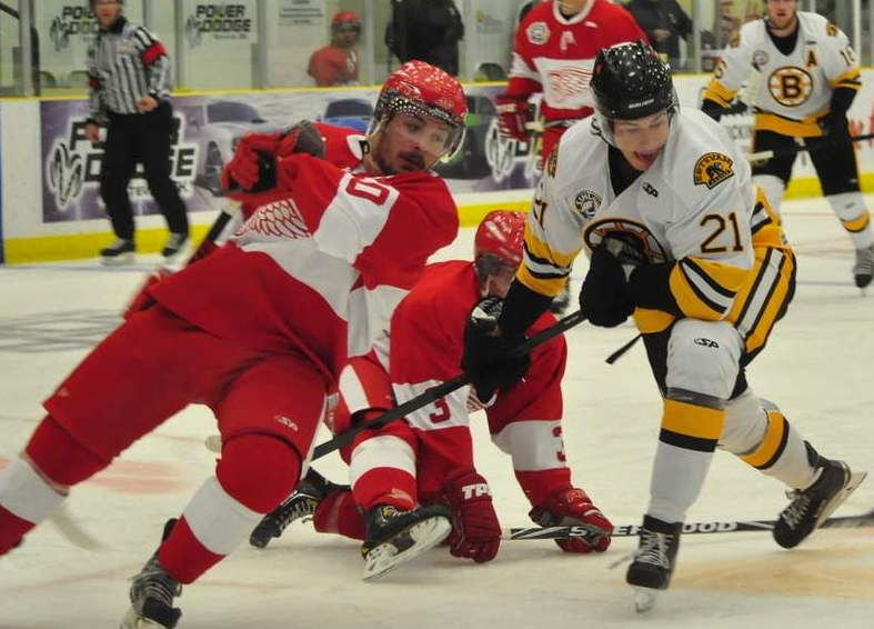 Red Wings captain Josh Lees