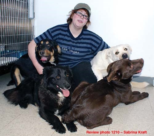 Weyburn Humane Society volunteer Sam Smart plays with four of the youngest dogs that the shelter currently house. From left are Dolly, an unnamed border collie, Dexter and Seamus. In total the shelter currently has 12 dogs and 25 cats in its care, causing an overcrowded situation. All the animals are looking for homes, and residents interested in adopting an animal are asked to contact the Humane Society.