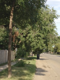GS201210308109998AR.jpg