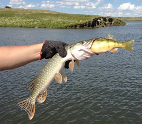 GS201210307139999AR.jpg