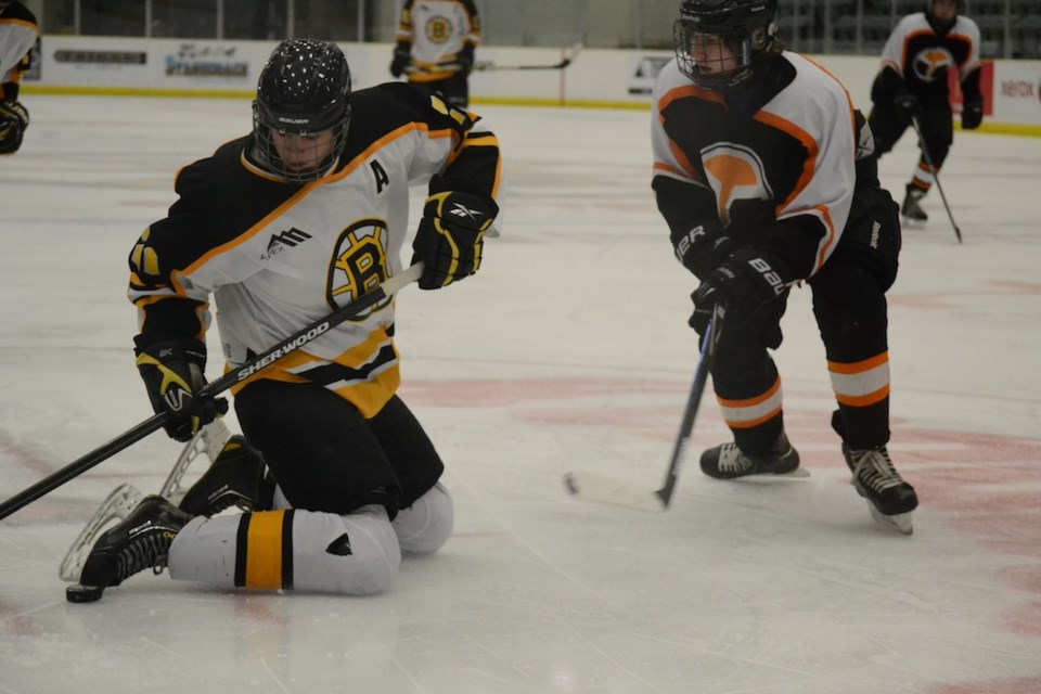 Apex Bruins Marc Shaw