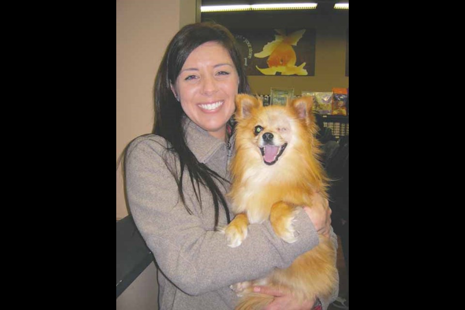 Chantel Balaberda, volunteer at the Guardian Angel Animal Rescue in Yorkton, nurtures Rusty, who has inspired many people with his story of surviving a traumatic eye injury.